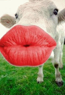 baysa*hlowa